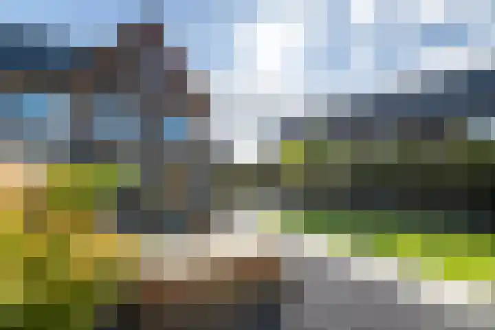 de Horde 42 Tiel thumbnail 44