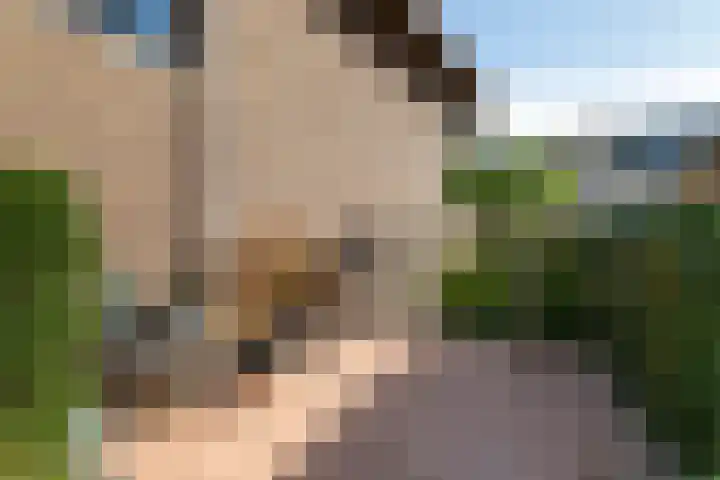 de Horde 42 Tiel thumbnail 46