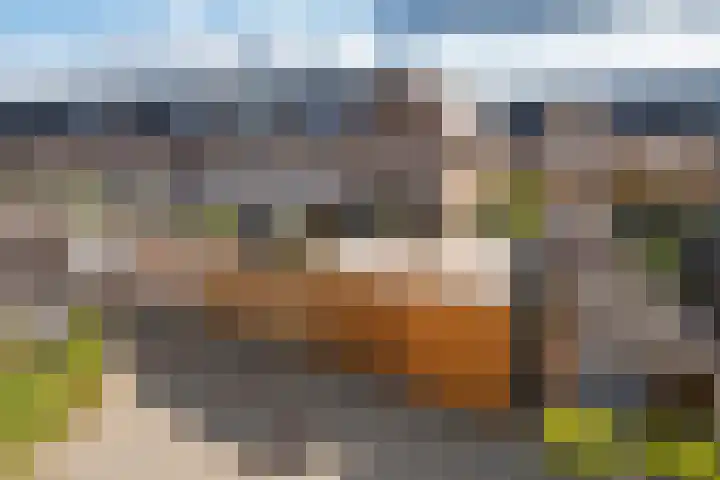 de Horde 42 Tiel thumbnail 47