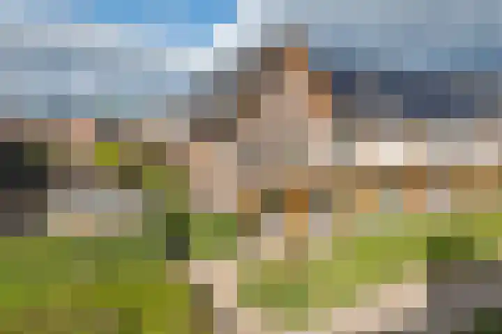 de Horde 42 Tiel thumbnail 50