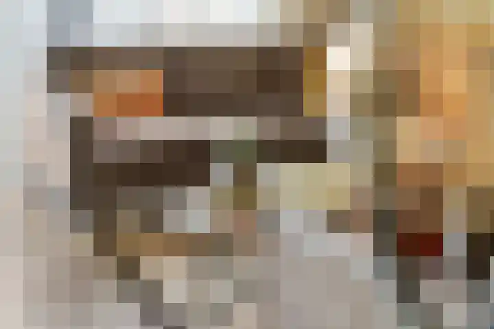 de Horde 42 Tiel thumbnail 6