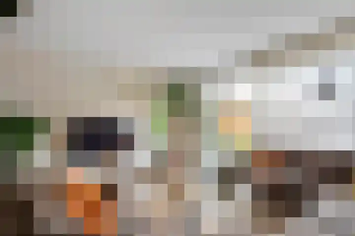 de Horde 42 Tiel thumbnail 8