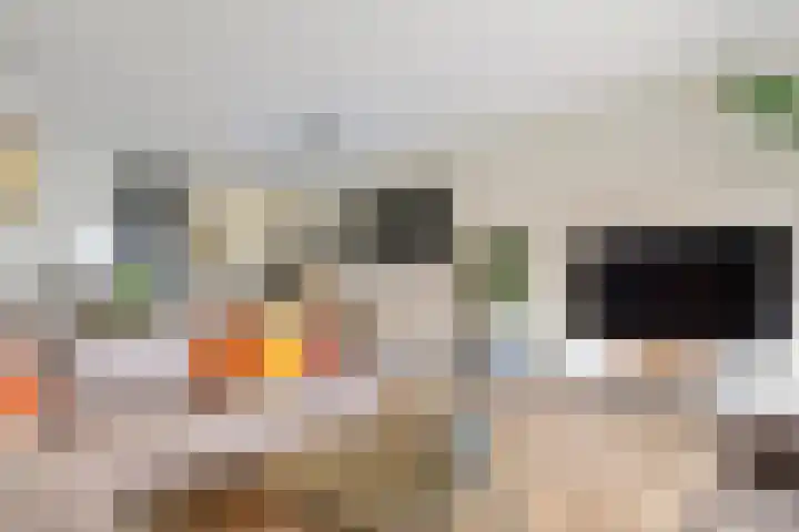 de Horde 42 Tiel thumbnail 9