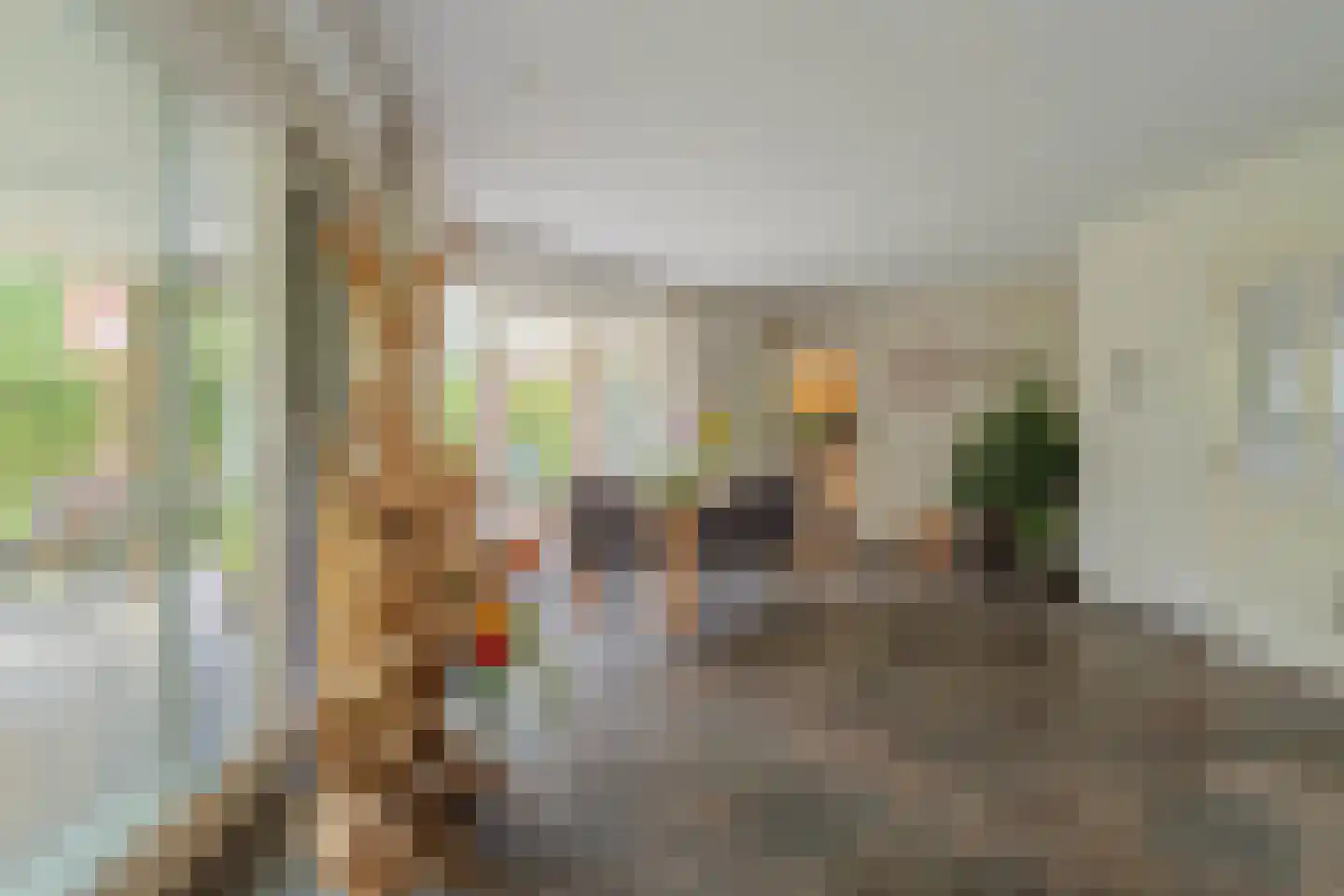 De Horik 2 Oostrum thumbnail 20