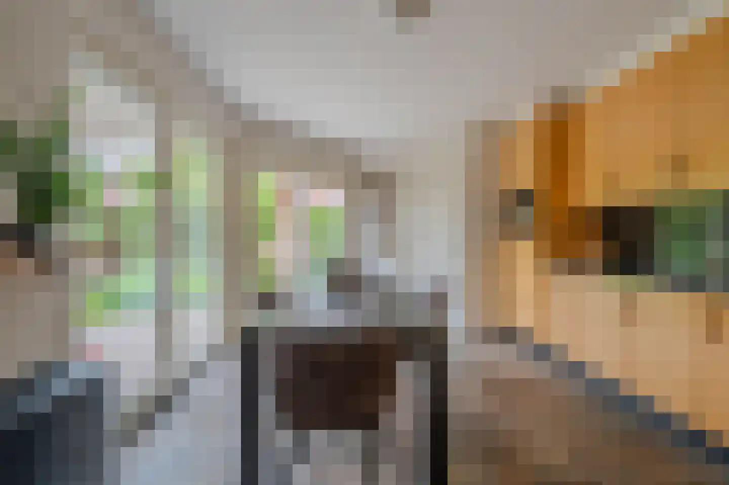 De Horik 2 Oostrum thumbnail 24