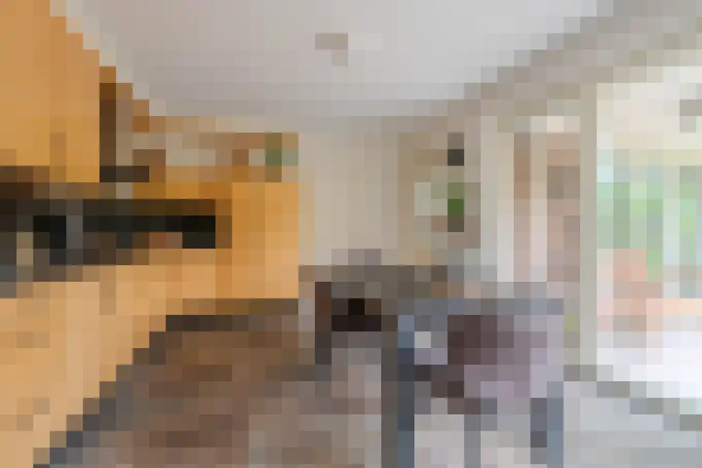 De Horik 2 Oostrum thumbnail 25