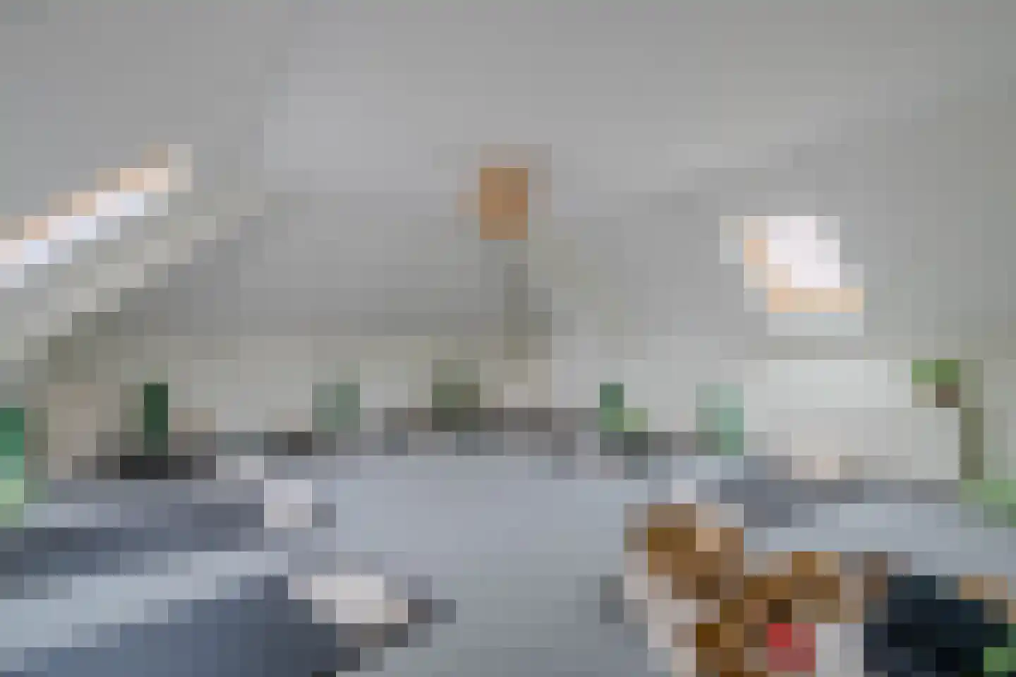 De Horik 2 Oostrum thumbnail 34