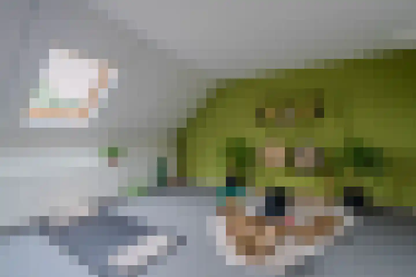 De Horik 2 Oostrum thumbnail 36