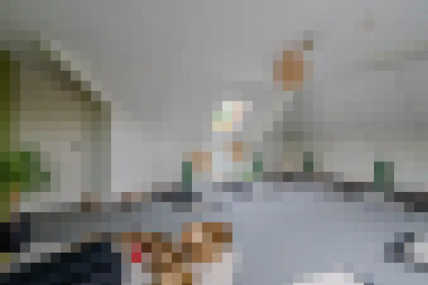 De Horik 2 Oostrum thumbnail 37
