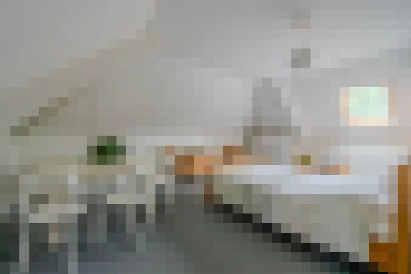 De Horik 2 Oostrum thumbnail 38