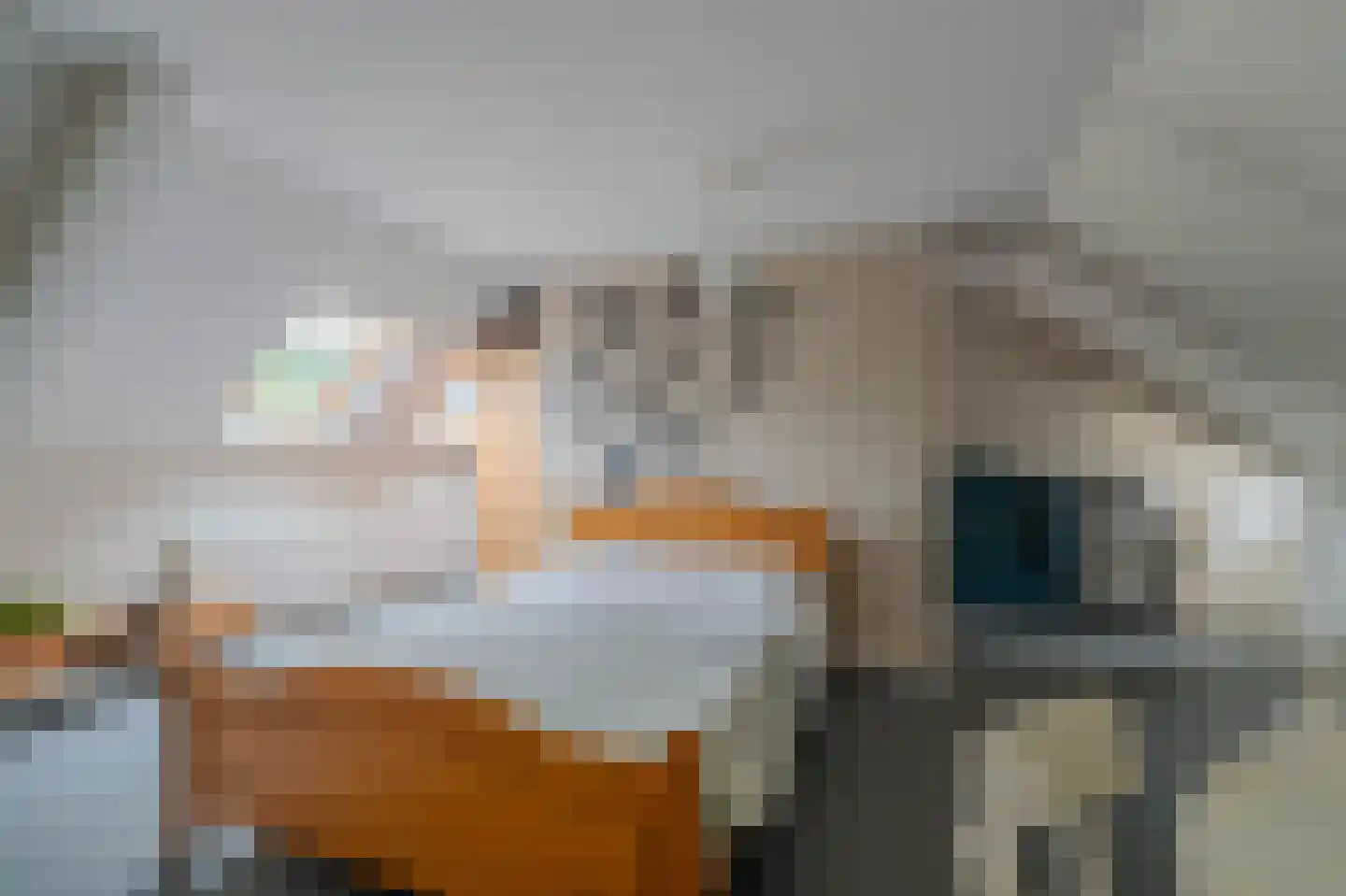 De Horik 2 Oostrum thumbnail 39