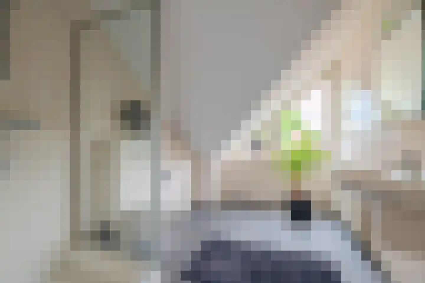 De Horik 2 Oostrum thumbnail 43