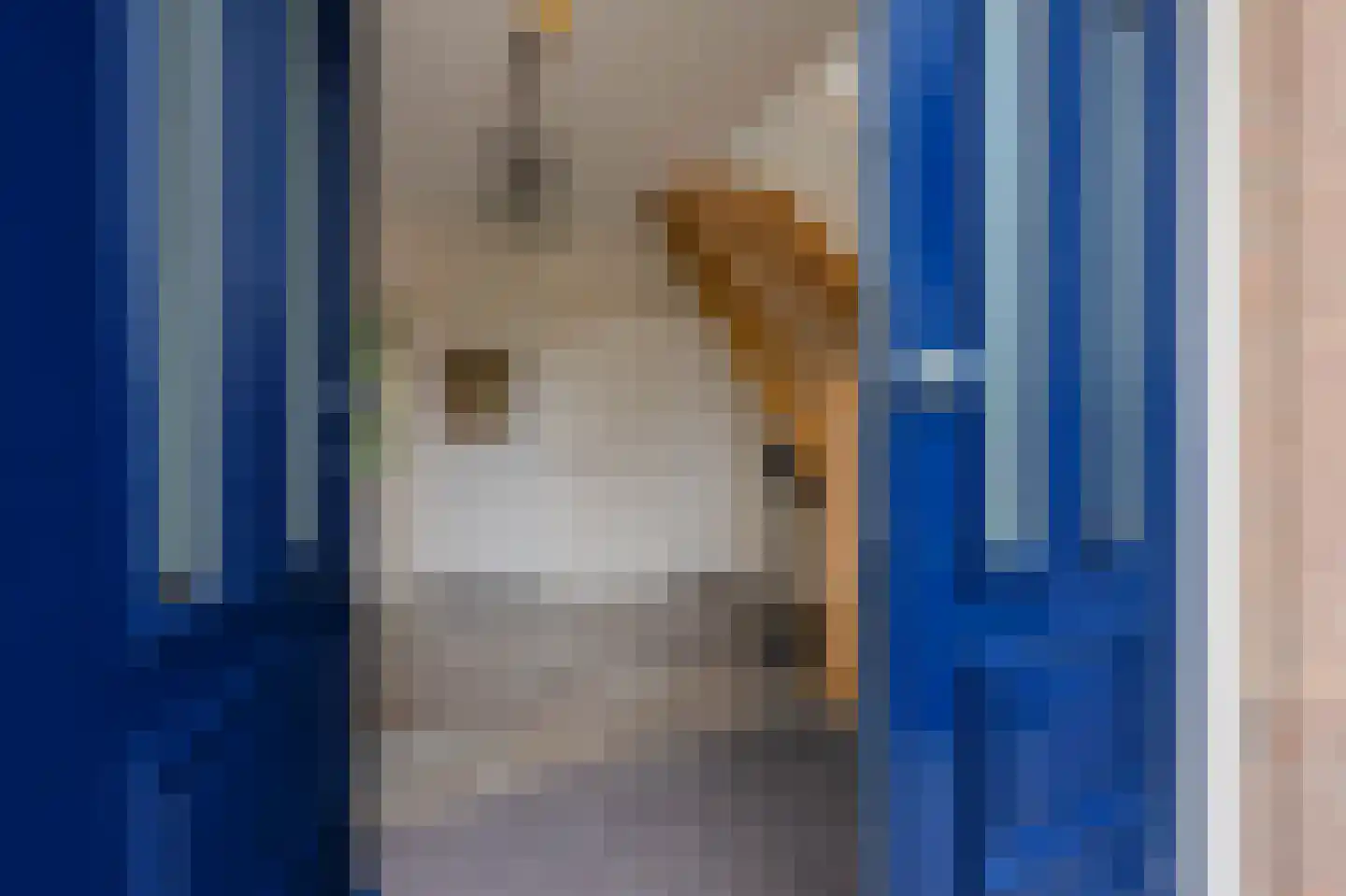 De Horik 2 Oostrum thumbnail 5