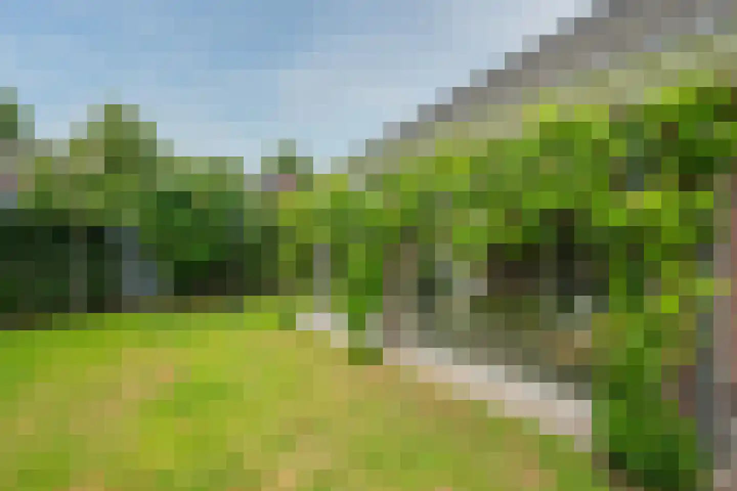De Horik 2 Oostrum thumbnail 59