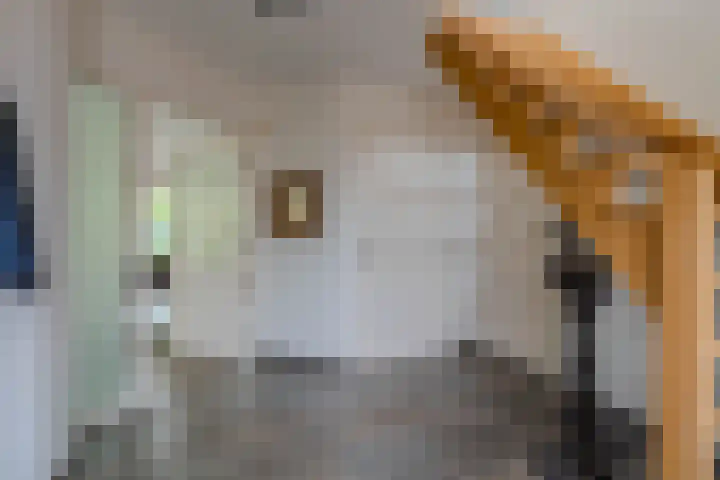 De Horik 2 Oostrum thumbnail 6