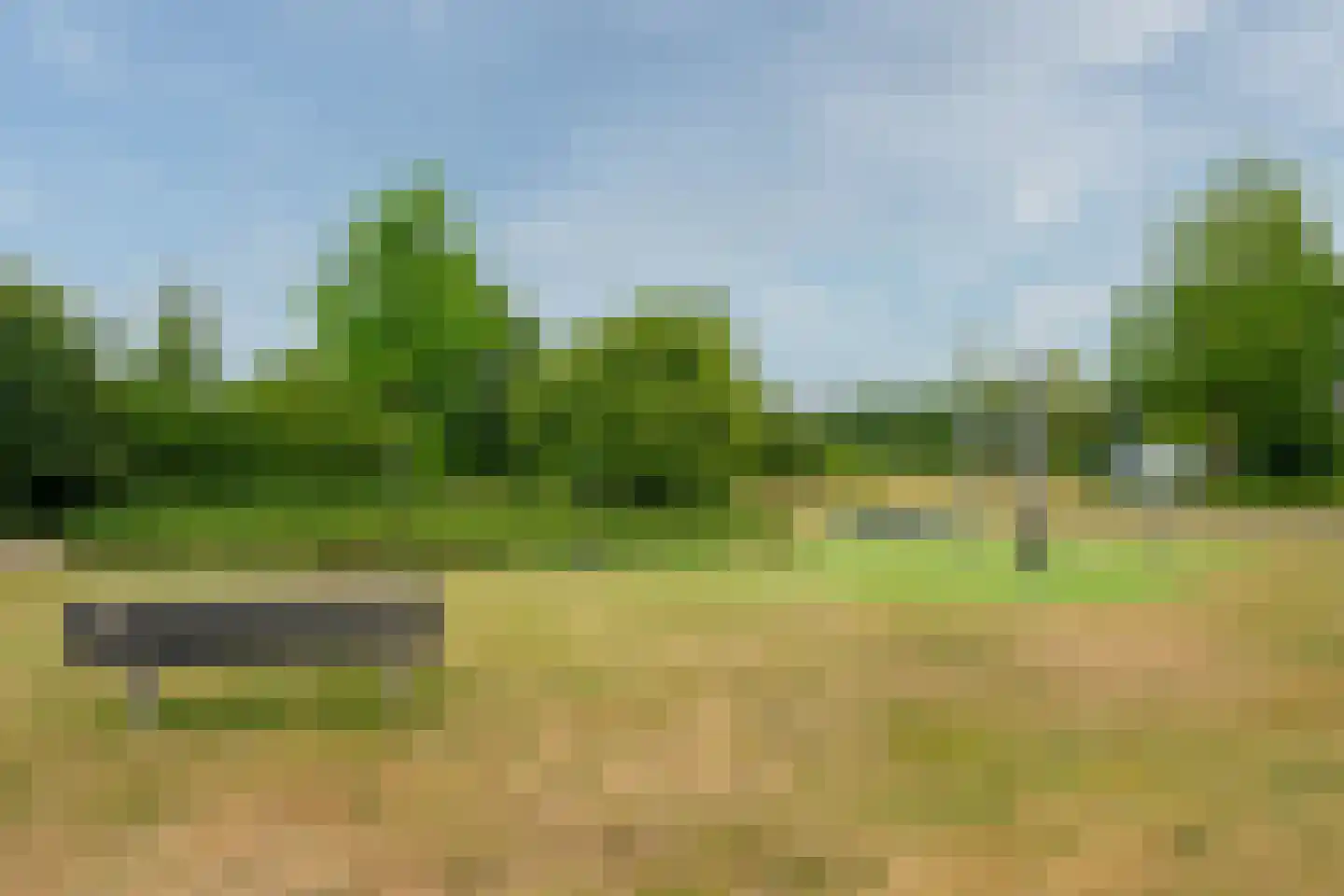De Horik 2 Oostrum thumbnail 69