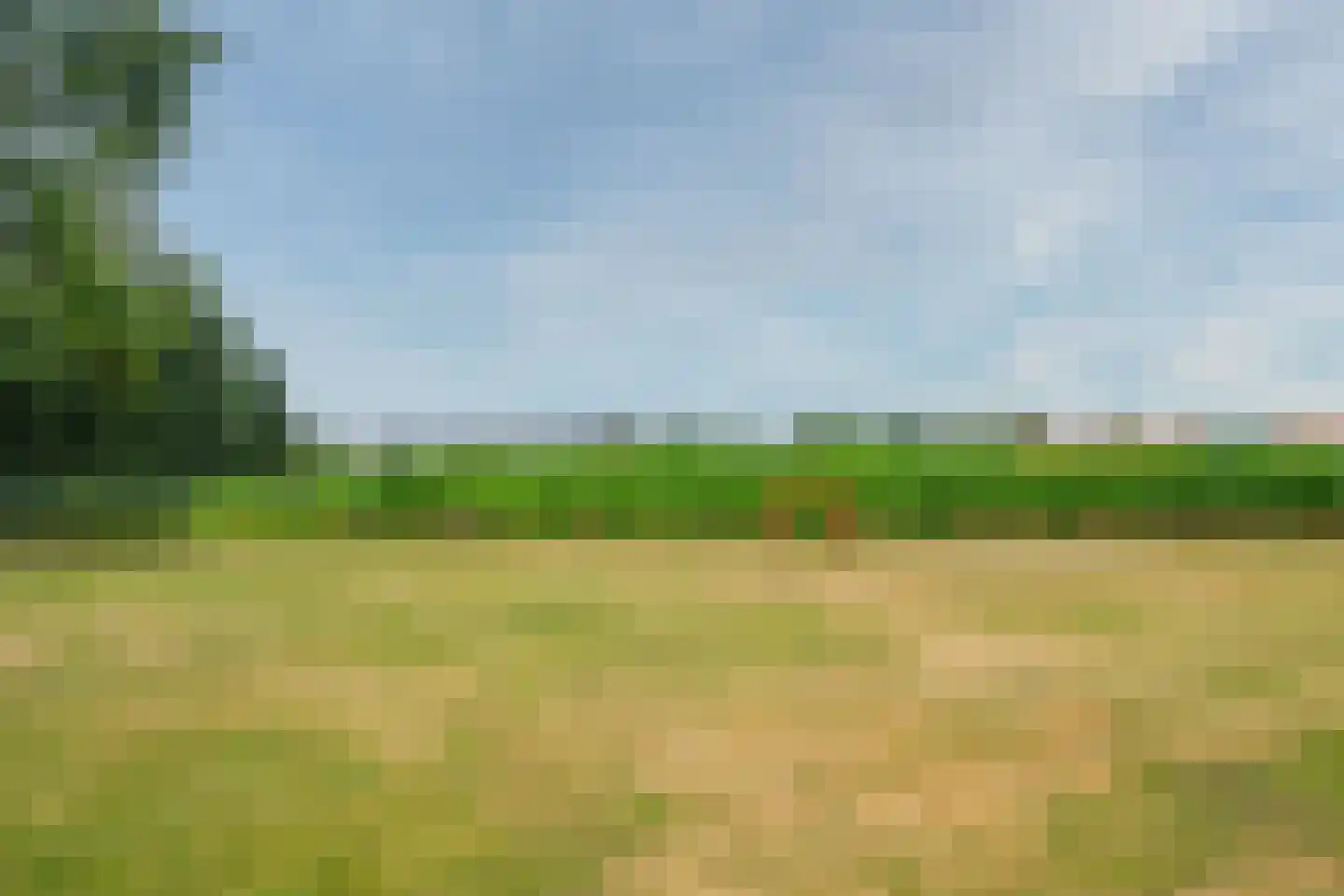 De Horik 2 Oostrum thumbnail 70