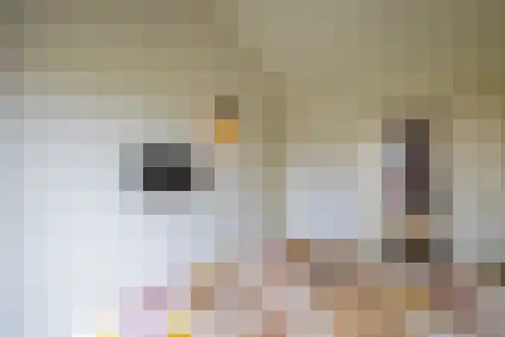 De Horik 21 Oostrum thumbnail 25