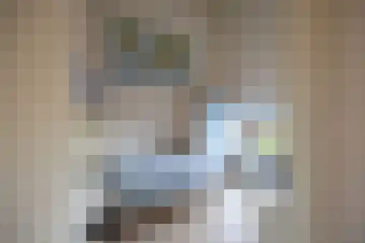 De Horik 21 Oostrum thumbnail 26