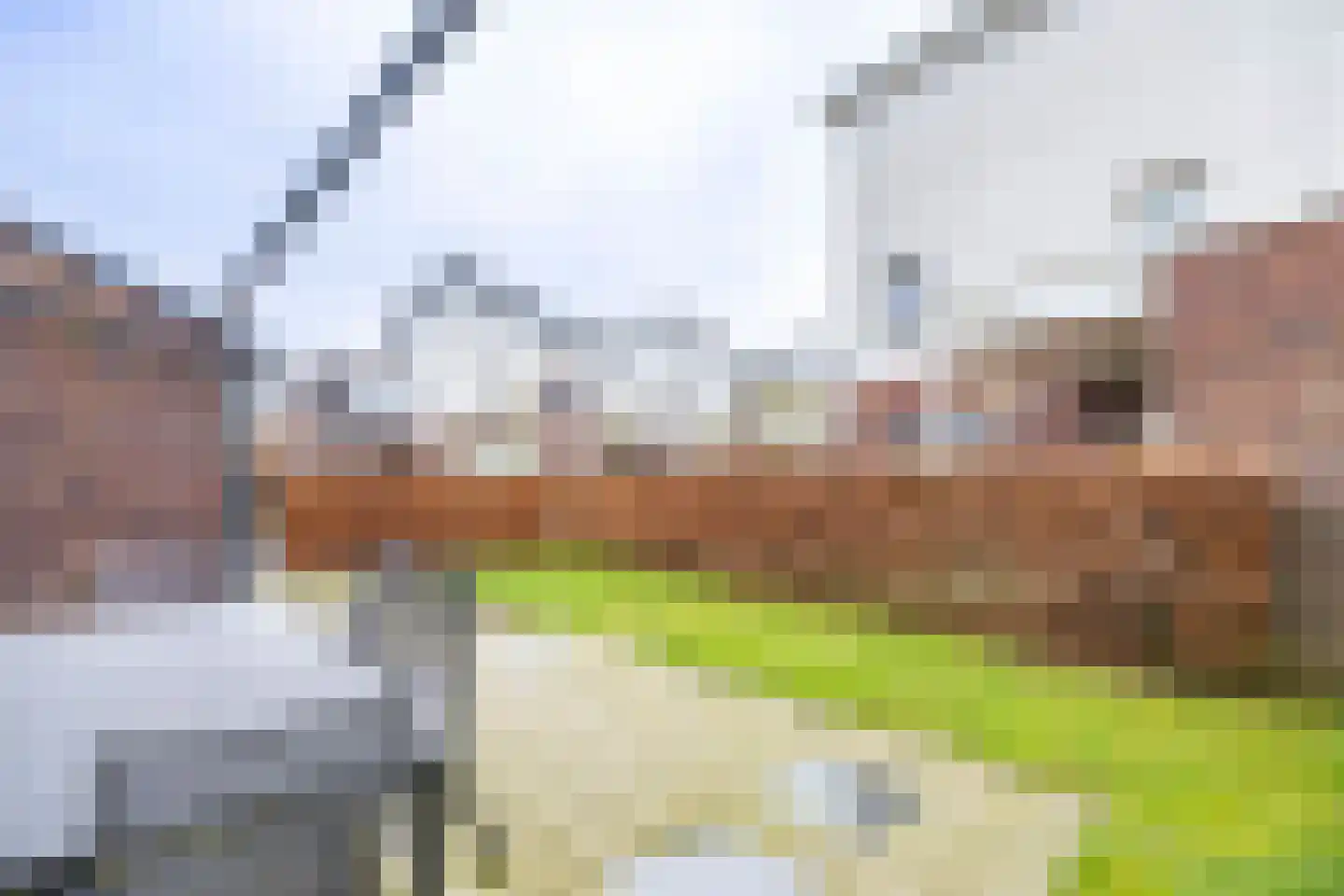De Horik 21 Oostrum thumbnail 34