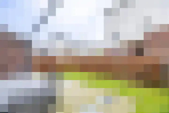 De Horik 21 Oostrum thumbnail 34