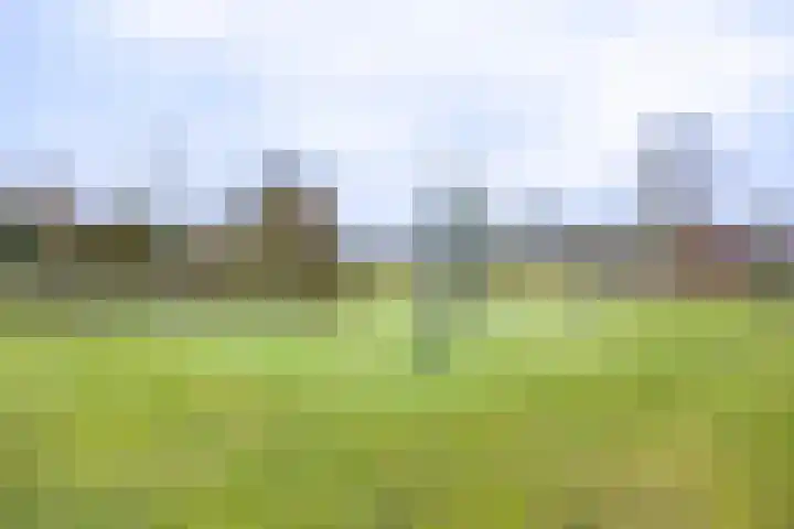 De Horik 21 Oostrum thumbnail 5