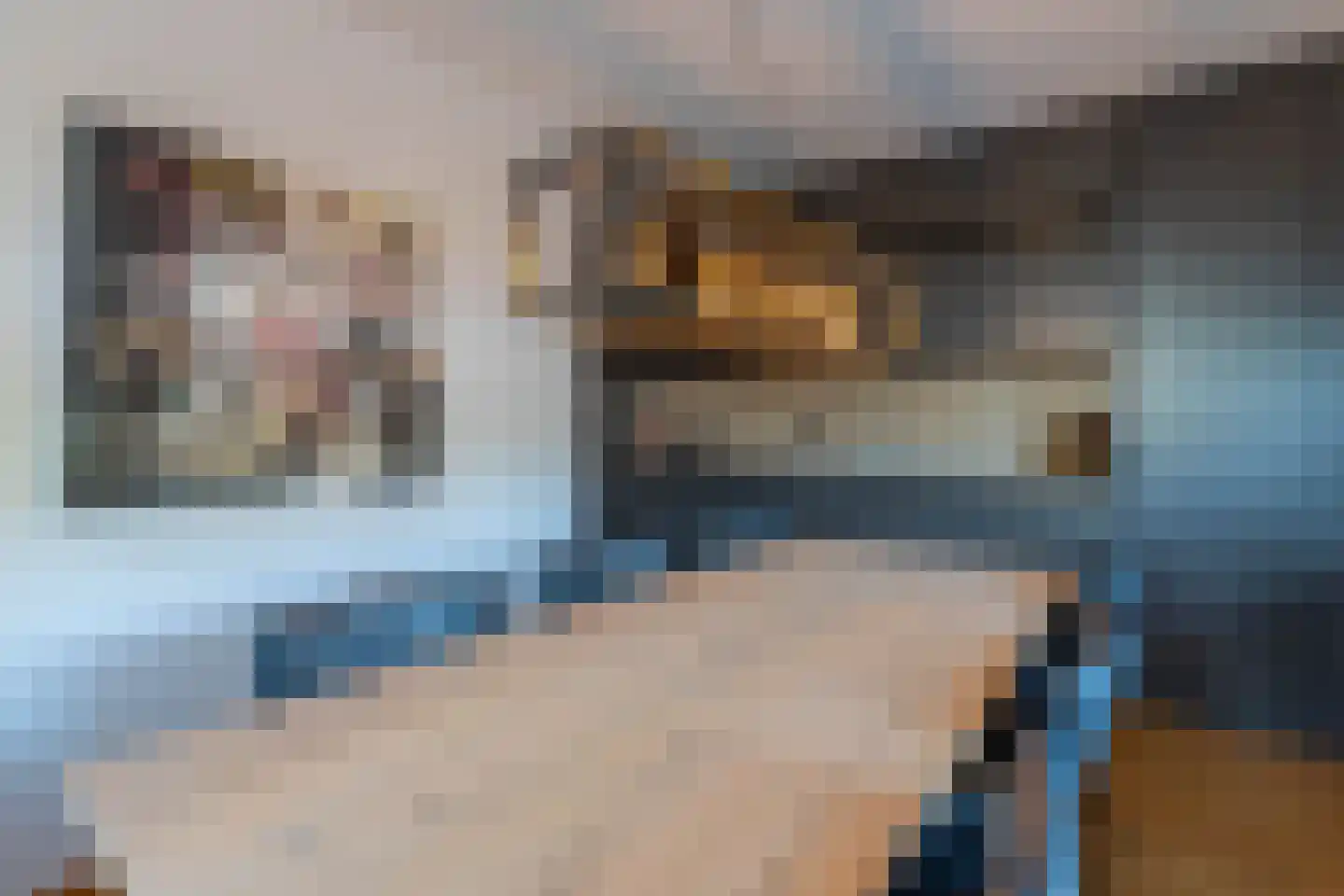 De Horik 47 Oostrum thumbnail 40