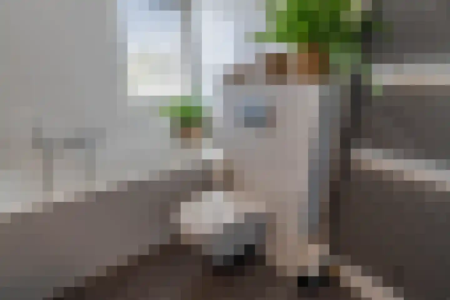 De Horik 47 Oostrum thumbnail 59