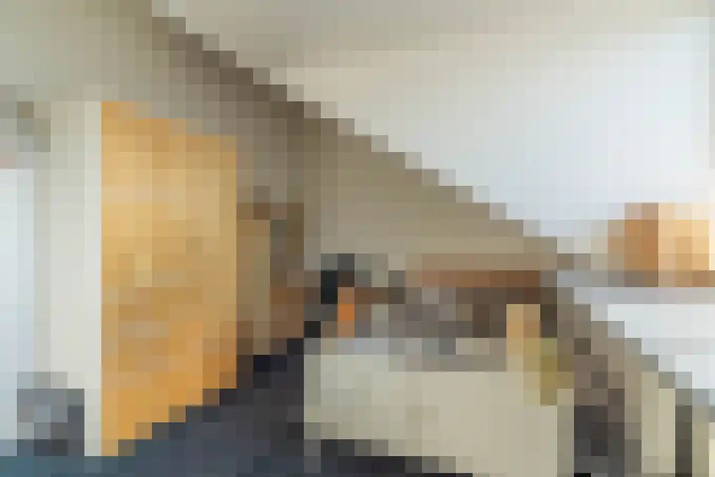 De Horik 47 Oostrum thumbnail 67