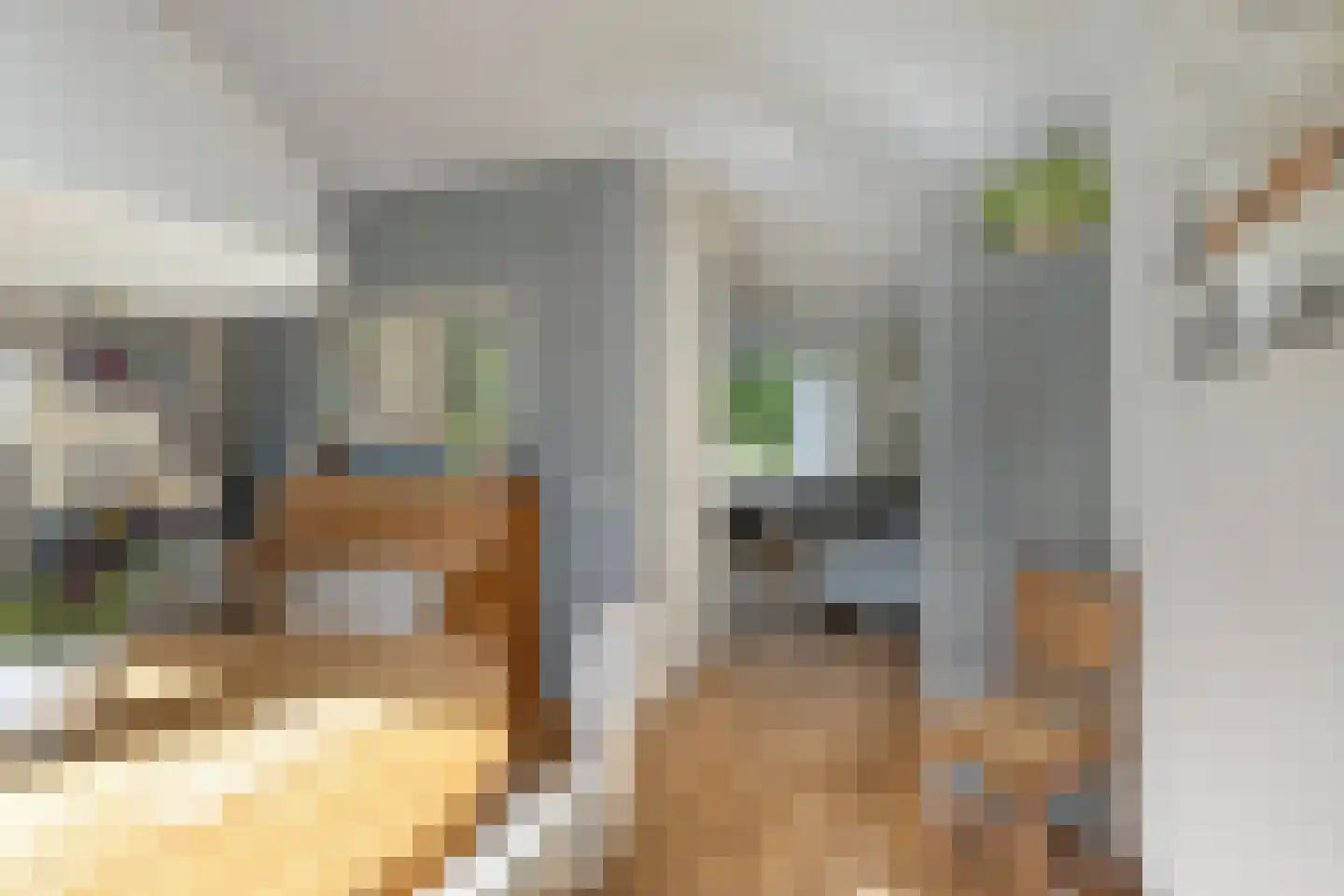 De Horik 5 Oostrum thumbnail 12