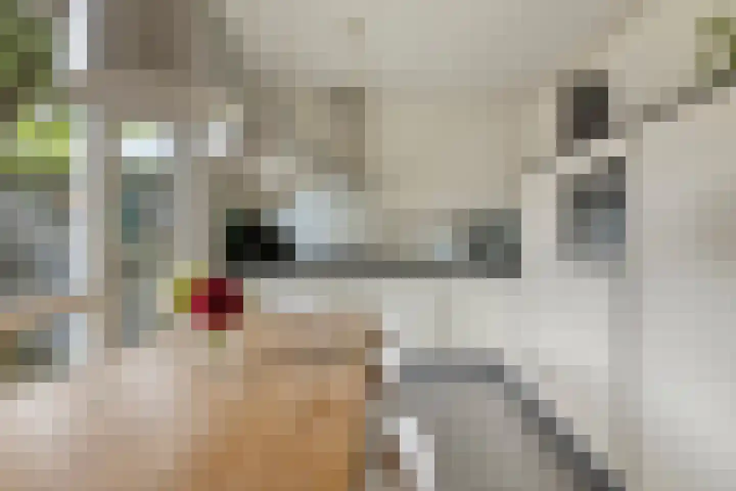 De Horik 5 Oostrum thumbnail 17