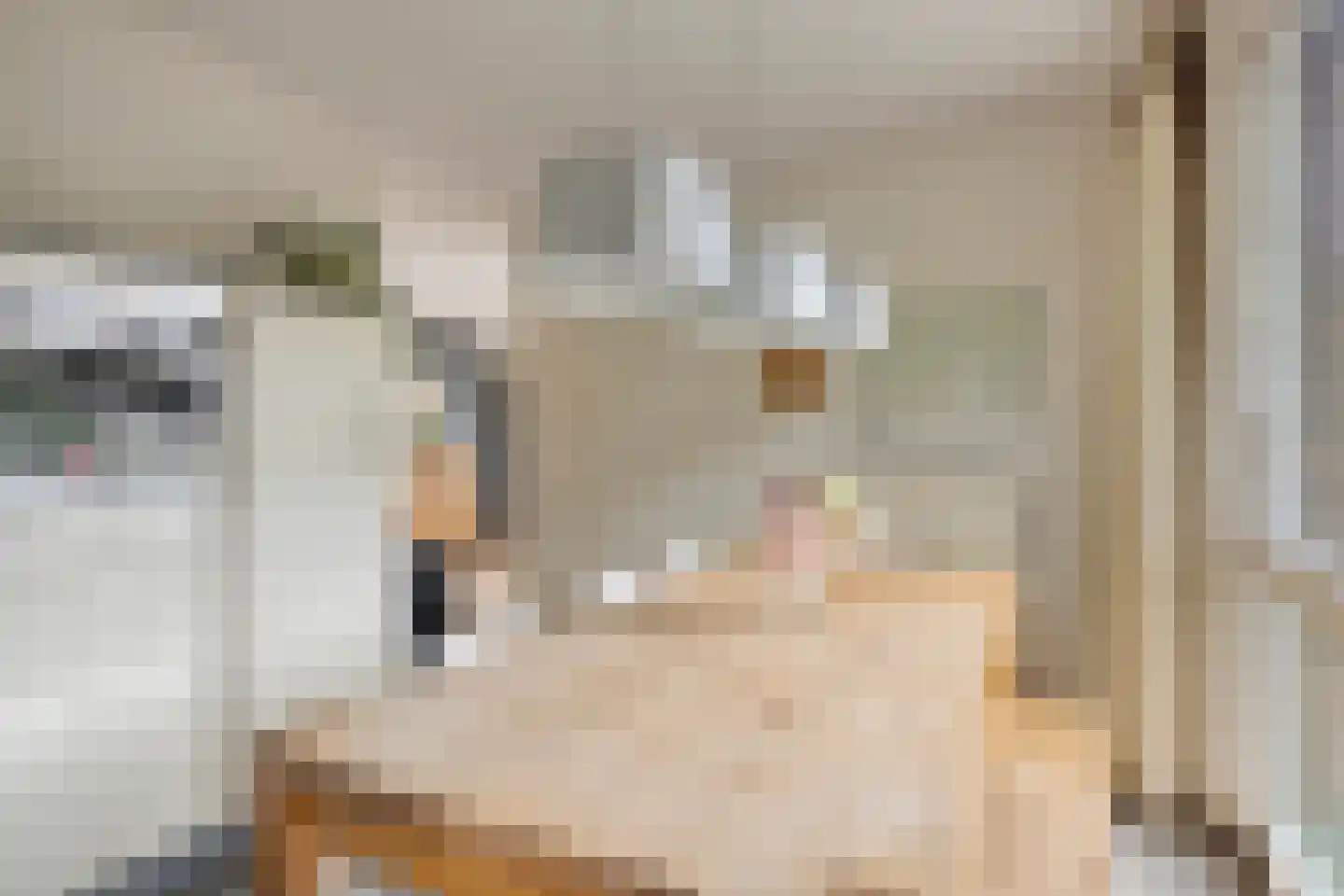 De Horik 5 Oostrum thumbnail 19