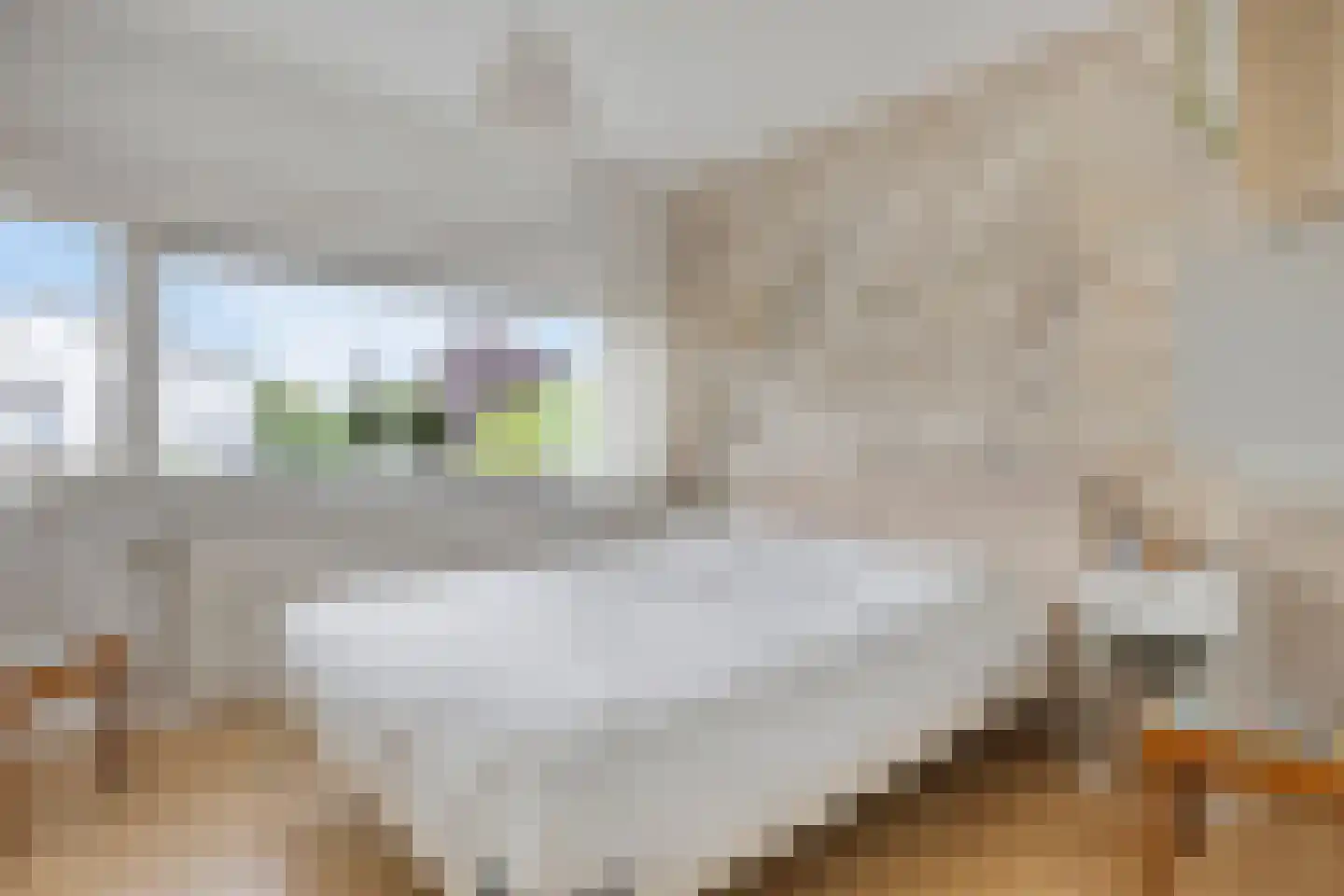 De Horik 5 Oostrum thumbnail 23