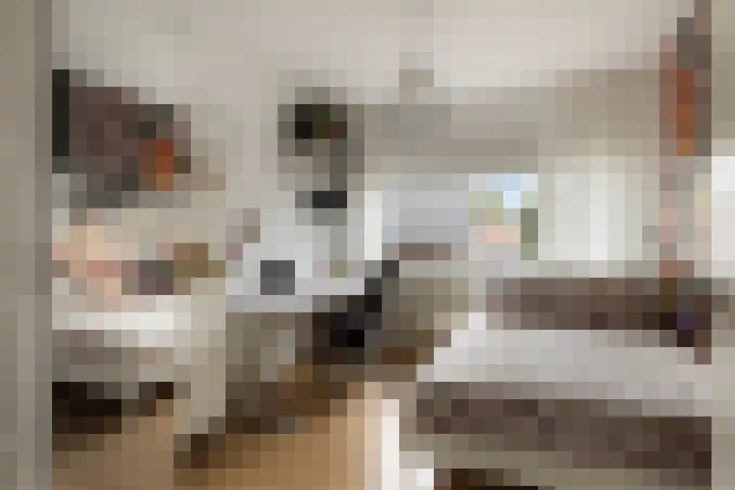 De Horik 5 Oostrum thumbnail 25