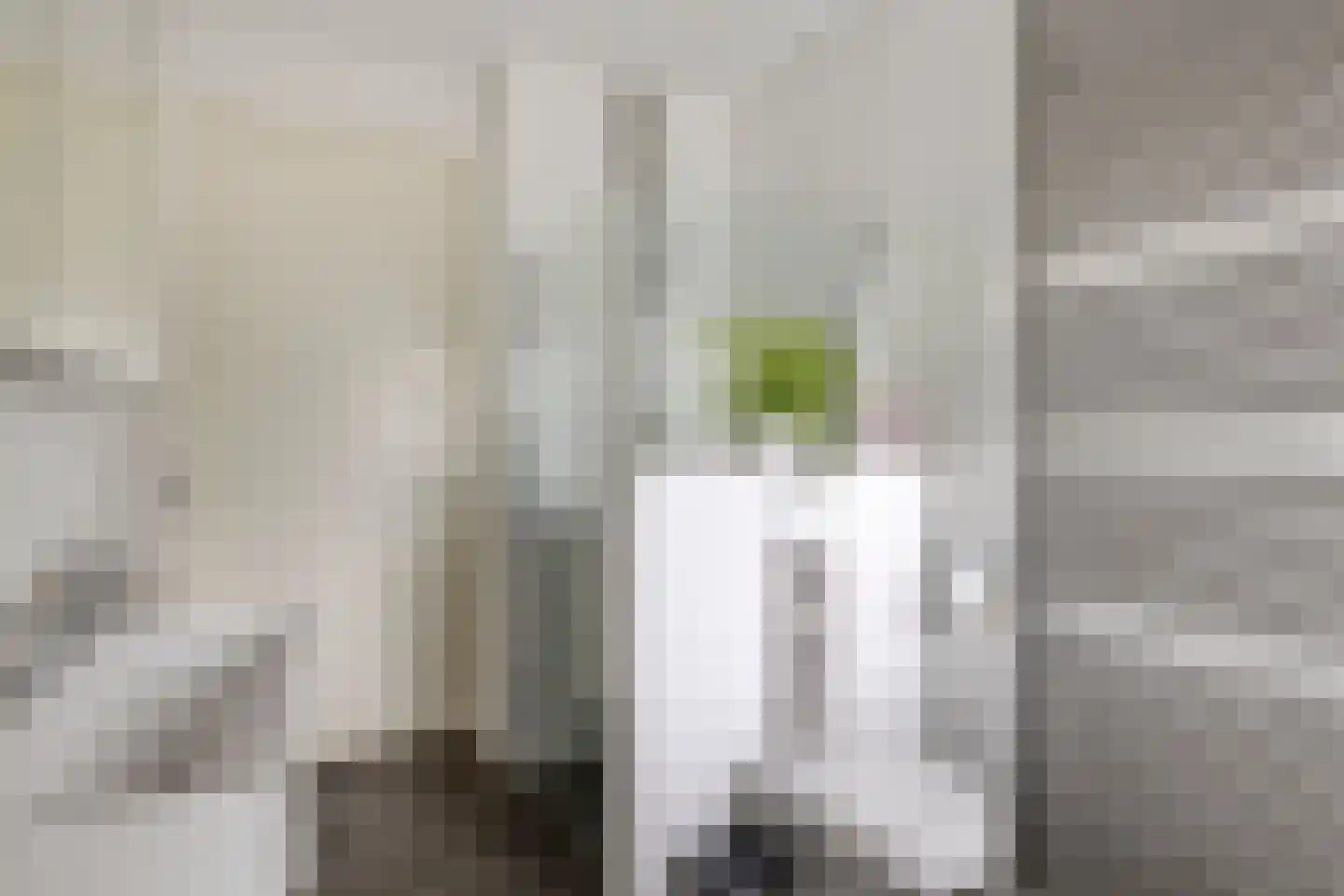 De Horik 5 Oostrum thumbnail 30