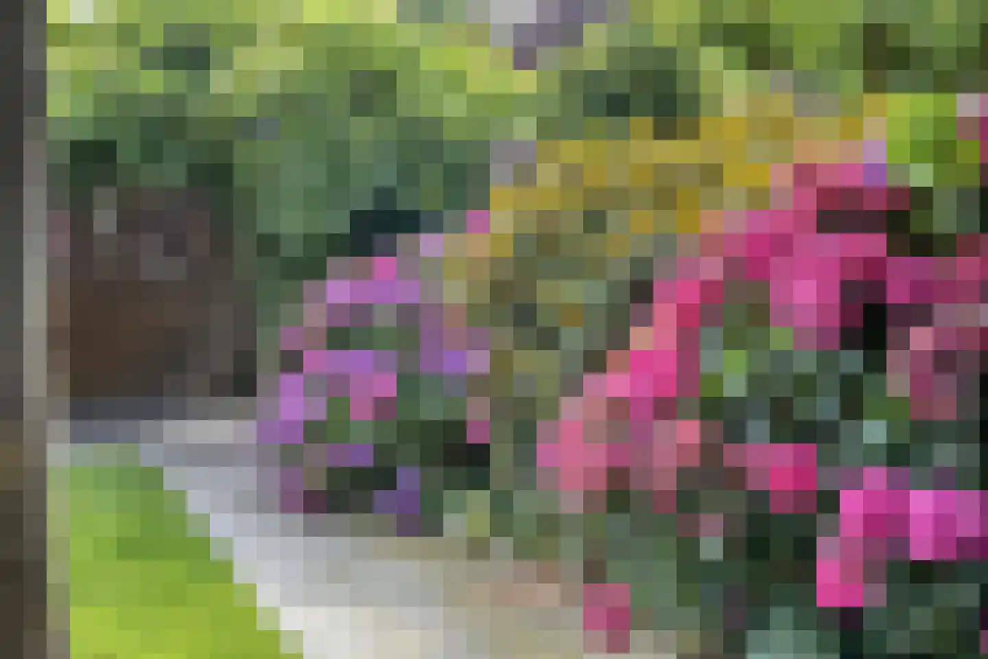 De Horik 5 Oostrum thumbnail 37