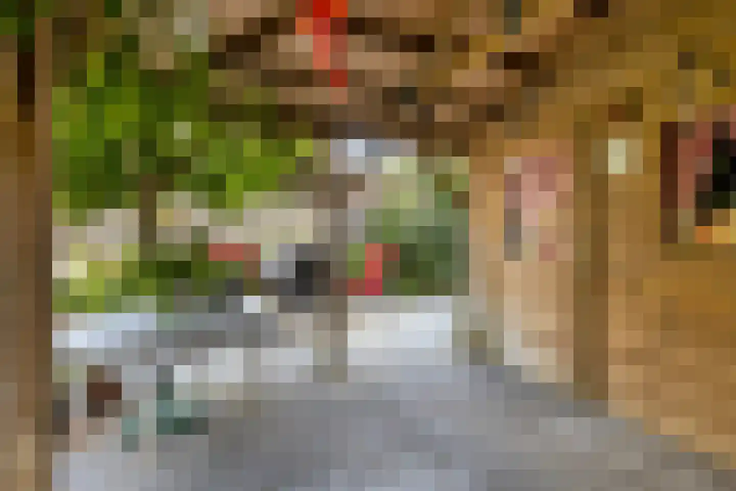 De Horik 5 Oostrum thumbnail 39