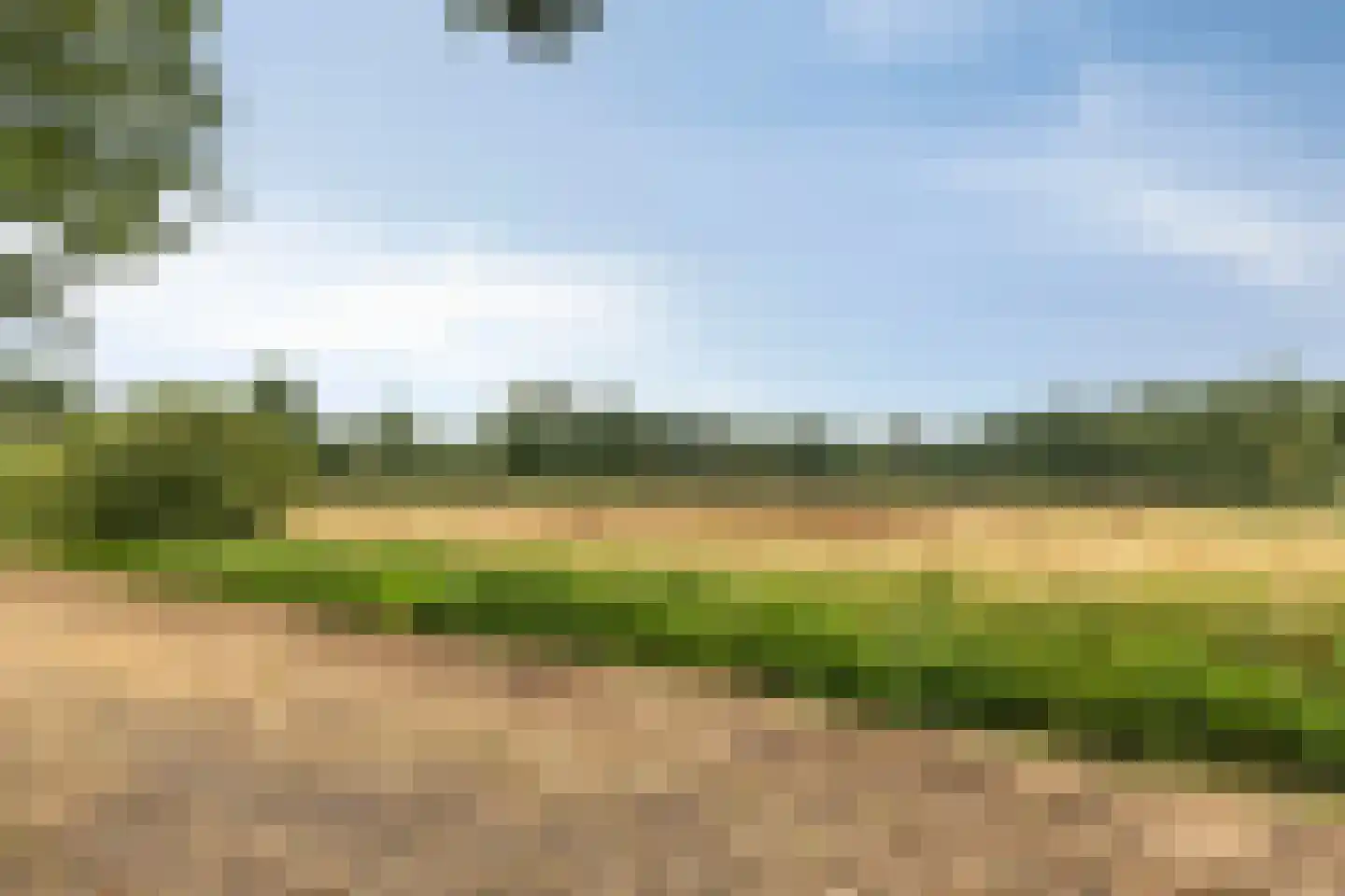 De Horik 5 Oostrum thumbnail 49