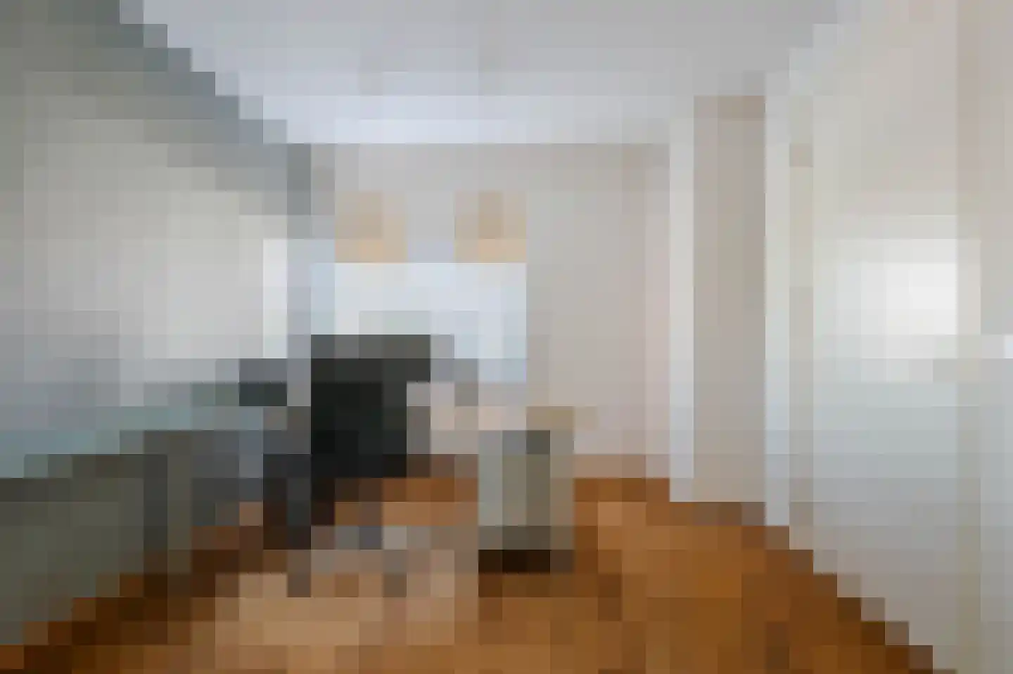 De Horik 6 Oostrum thumbnail 19