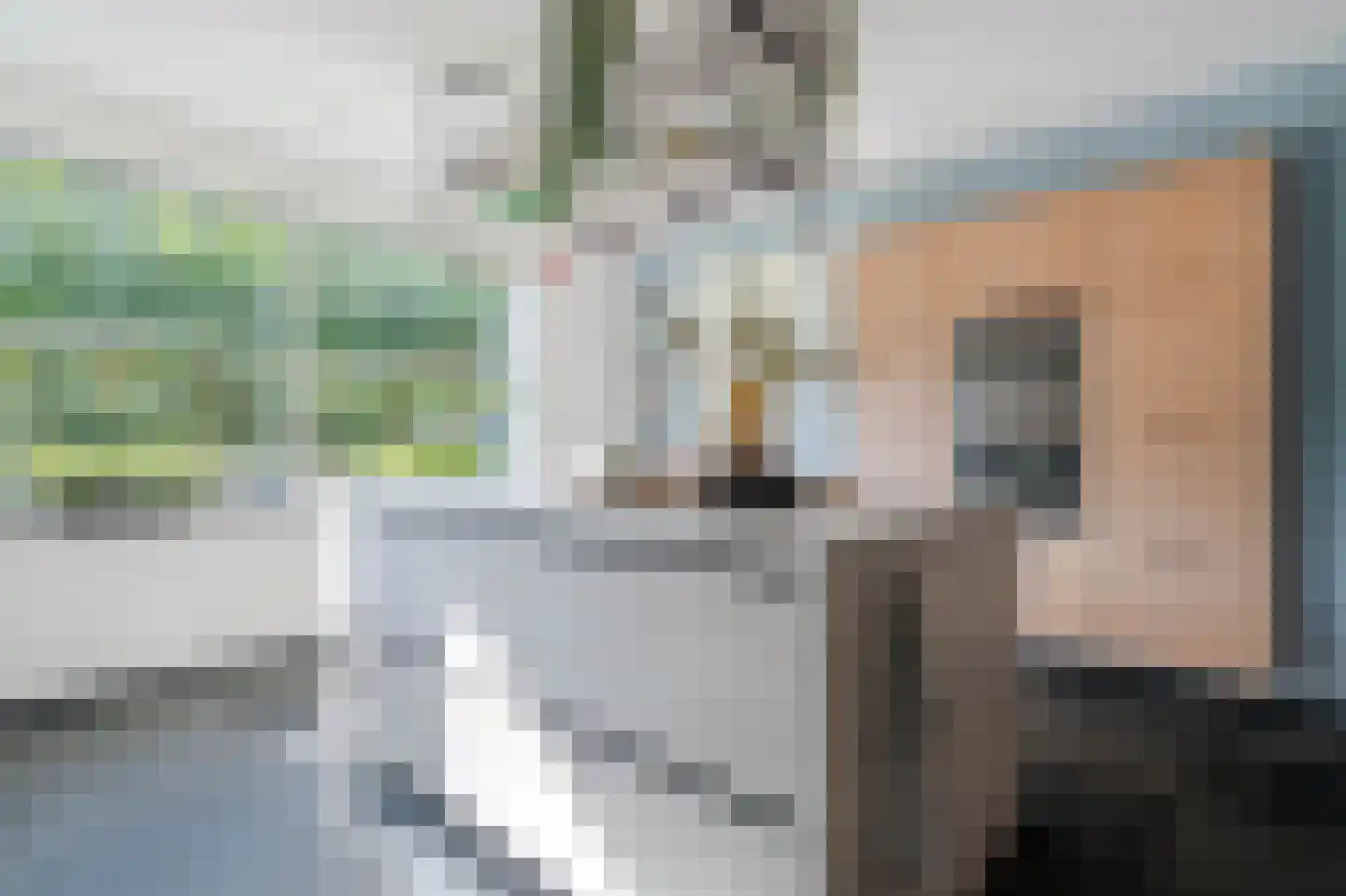 De Horik 6 Oostrum thumbnail 24
