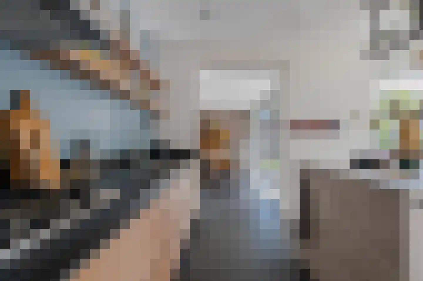 De Horik 6 Oostrum thumbnail 28