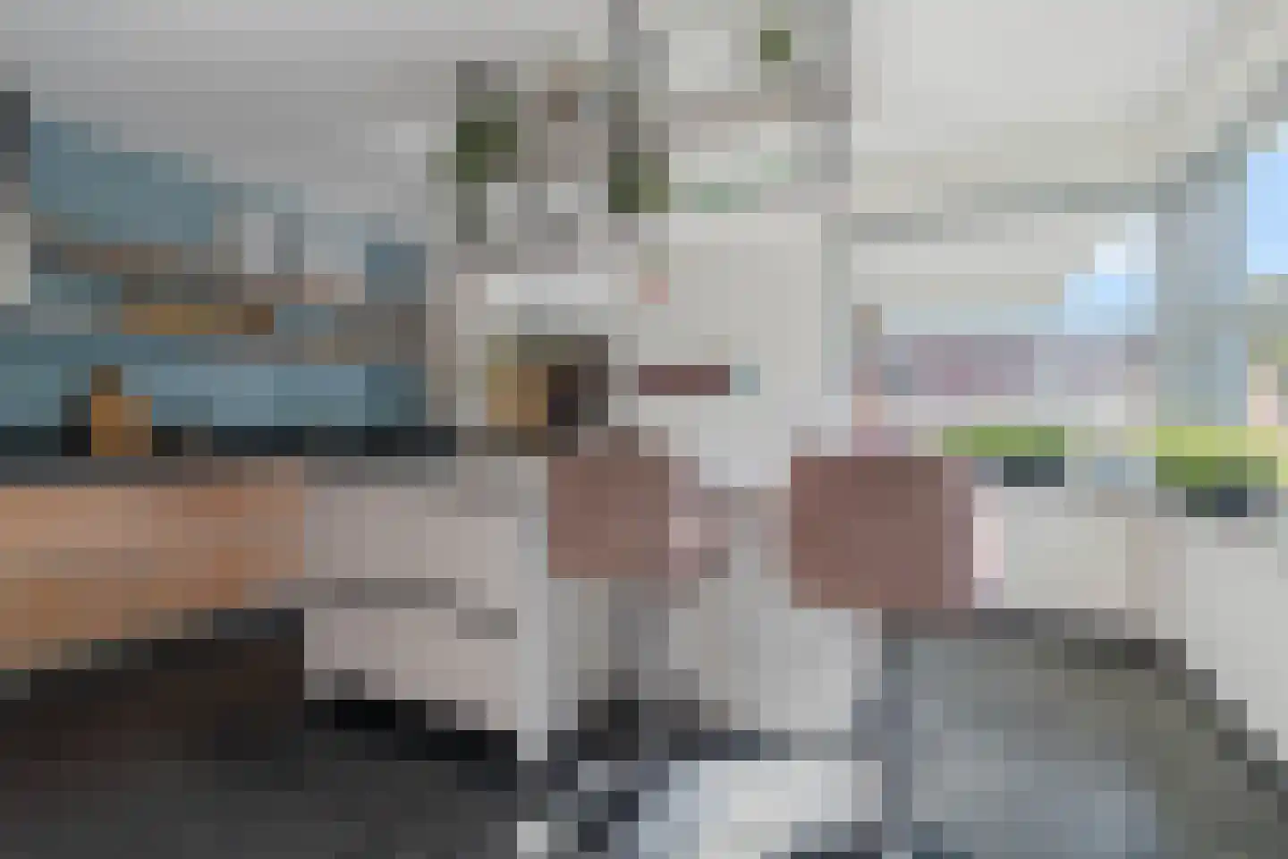 De Horik 6 Oostrum thumbnail 30