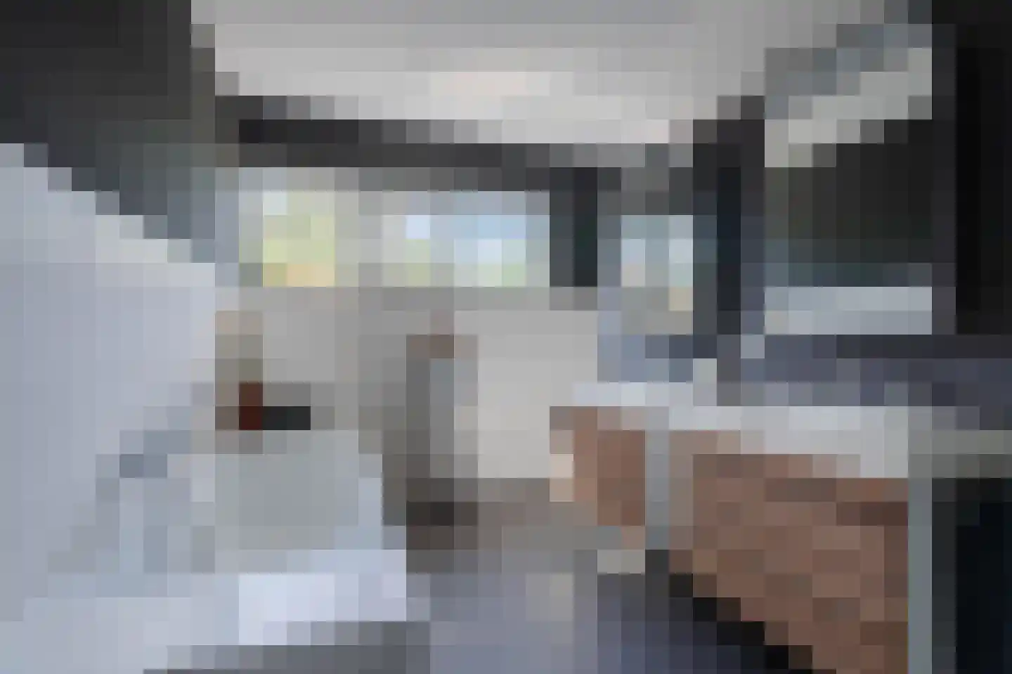 De Horik 6 Oostrum thumbnail 44