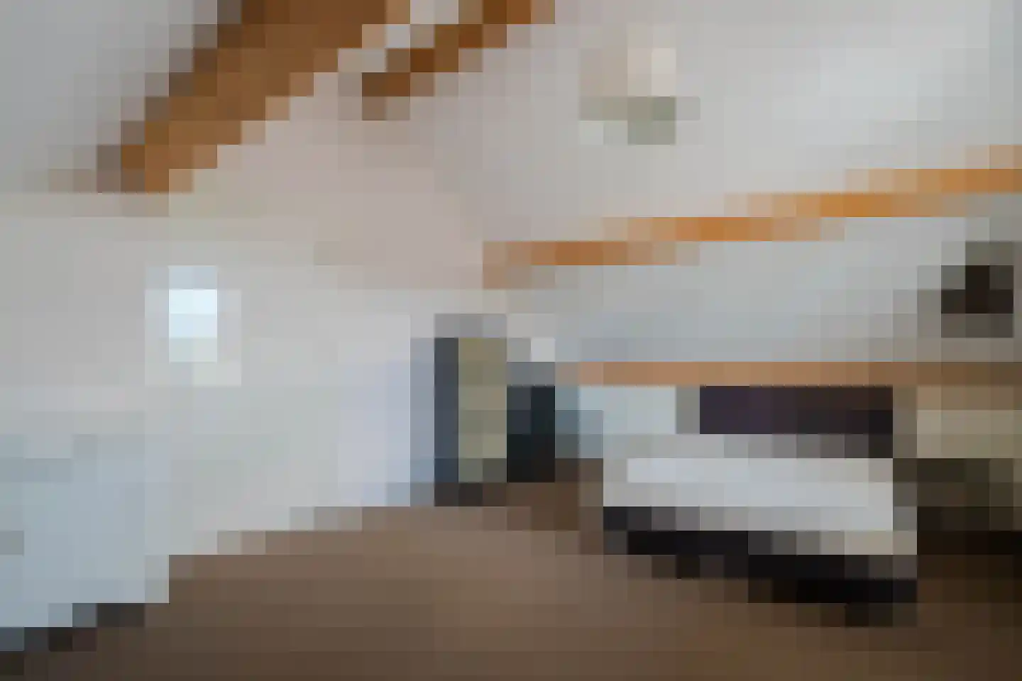 De Horik 6 Oostrum thumbnail 53