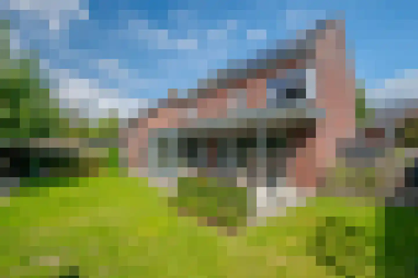 De Horik 6 Oostrum thumbnail 60