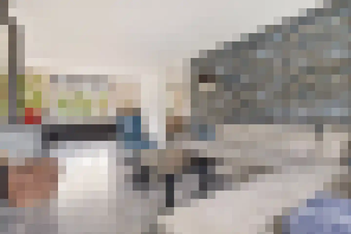 De Horik 8 Oostrum thumbnail 10