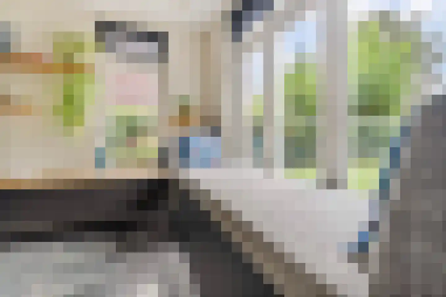 De Horik 8 Oostrum thumbnail 12