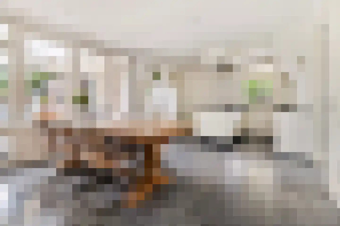 De Horik 8 Oostrum thumbnail 13