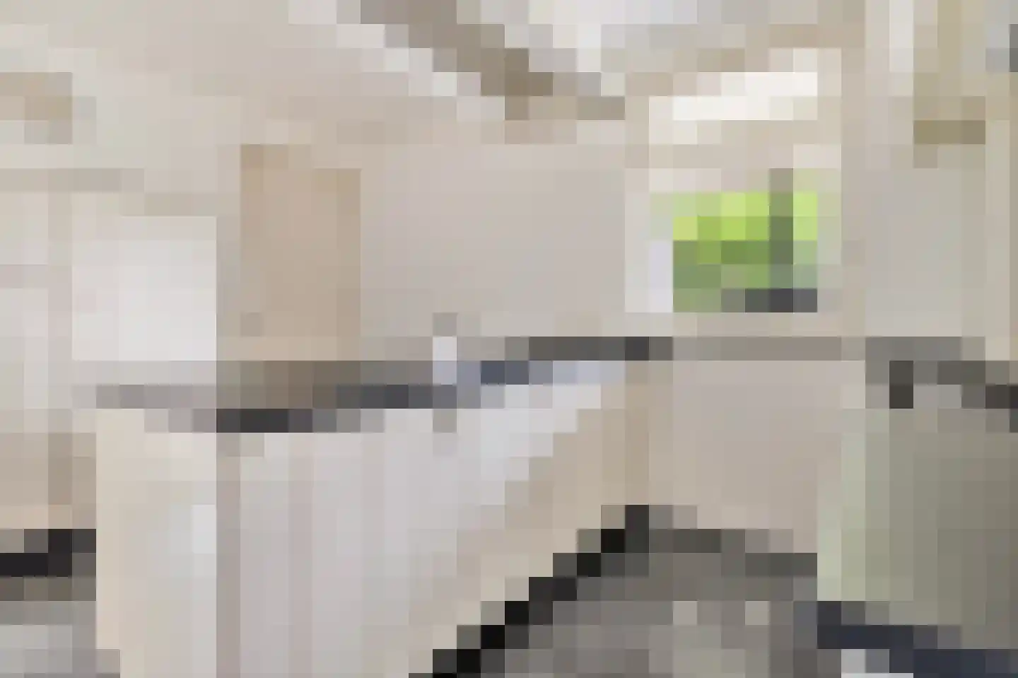 De Horik 8 Oostrum thumbnail 15