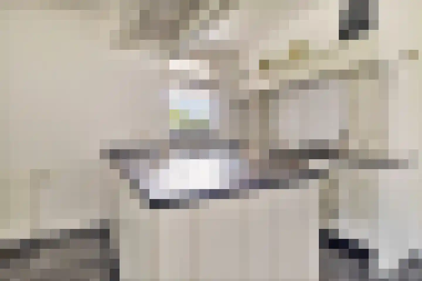 De Horik 8 Oostrum thumbnail 16